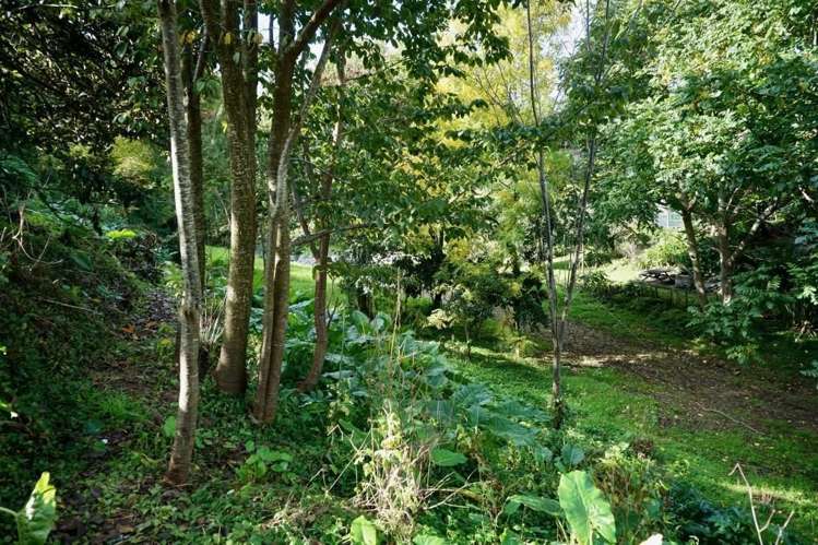 16 Hastings Street Te Puke_15