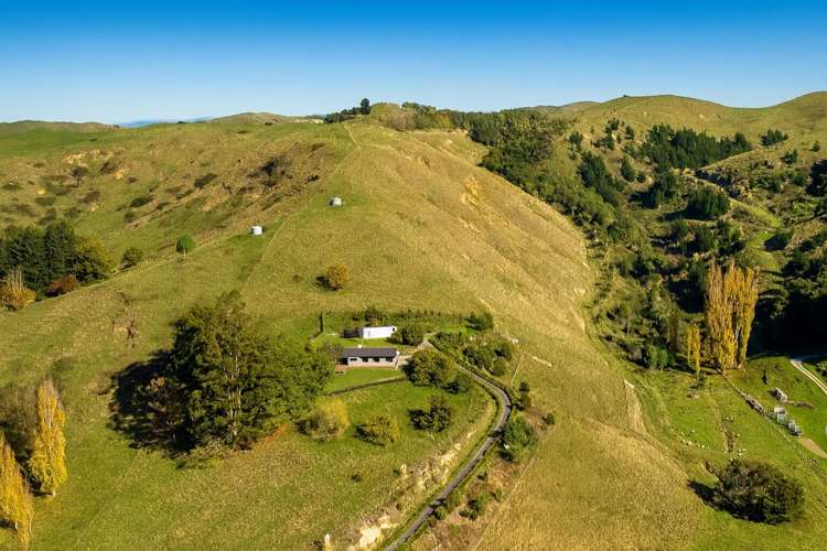 863 Puketitiri Road Puketapu_23