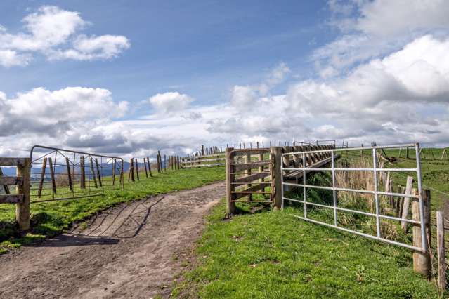 169 Addison Road Waimana_1