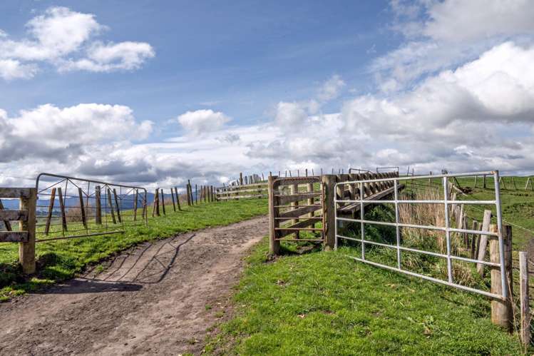 169 Addison Road Waimana_1