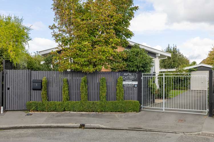 5 Cowper Place Avondale_2