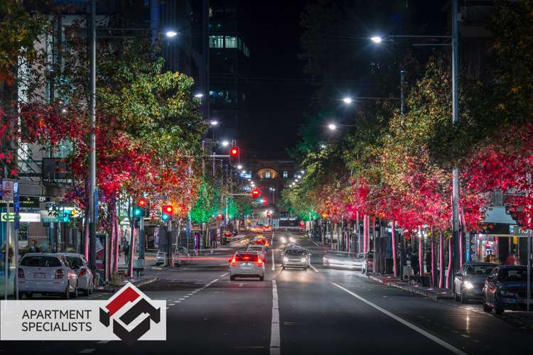 1a/33 Mount Street Auckland Central_29