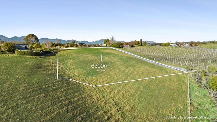 71 Bronte Road East_2