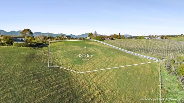 71 Bronte Road East Tasman_2