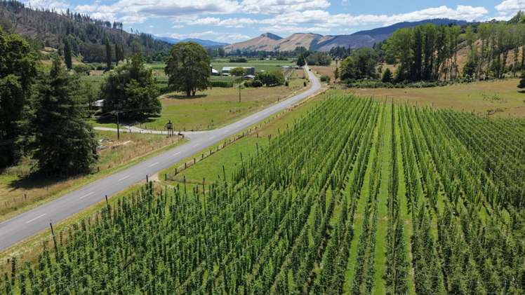 390 Tadmor Valley Road Tapawera_8