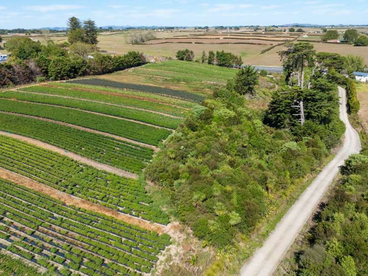 860 Linwood Road Karaka_8