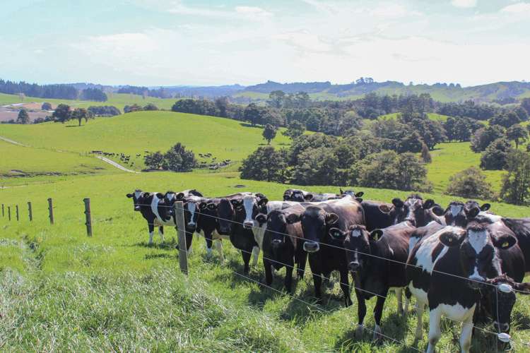 295 Waiteitei Road Wellsford_14