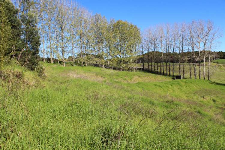 117 Taipuha Road Mangapai and Surrounds_5