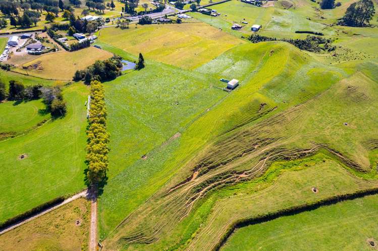 0n Mangorei Road New Plymouth_9