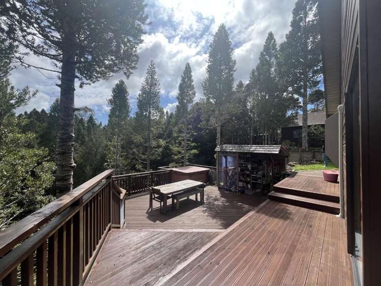 198 Albany heights Road Albany Heights_12