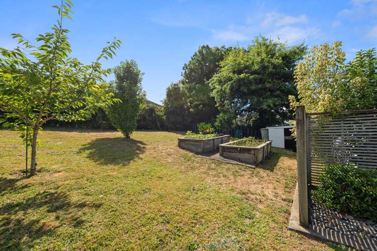 10 Hinau Street Maeroa_13