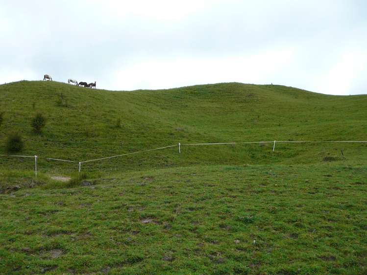 1314 Oruru Road Peria_14