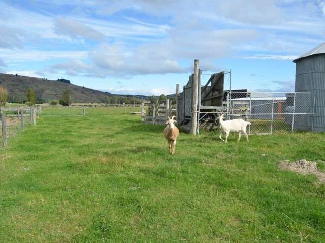 461 Centre Road Momona_4