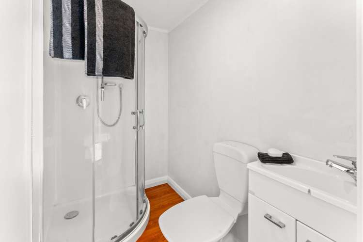 16 Cranston Street Andersons Bay_21