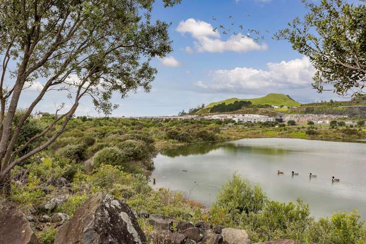 01/189g Barbarich Drive Stonefields_15