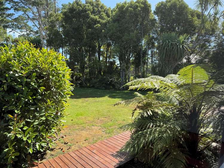 23 Pandora Avenue Camerons_24