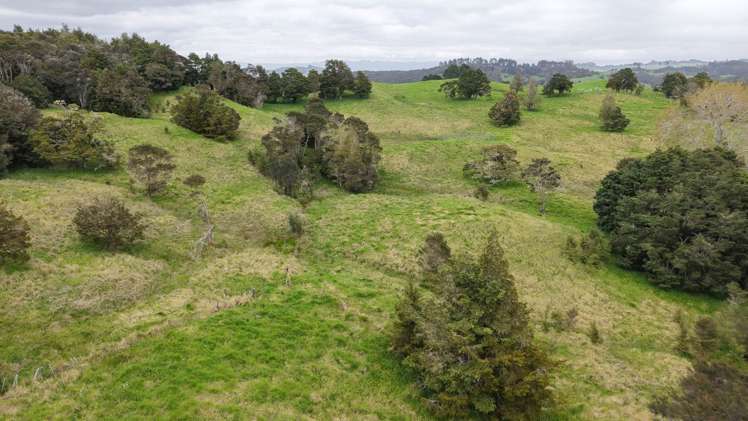 125 Orira Road Umawera_14