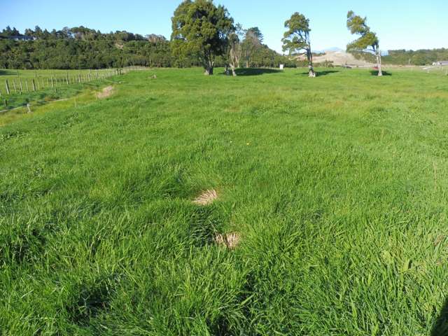 Adair Road Ruatapu_1