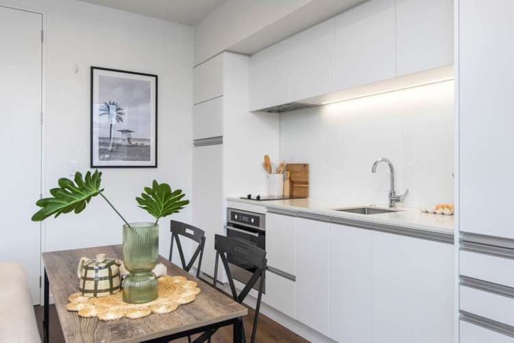 385 Murphys Road Flat Bush_4