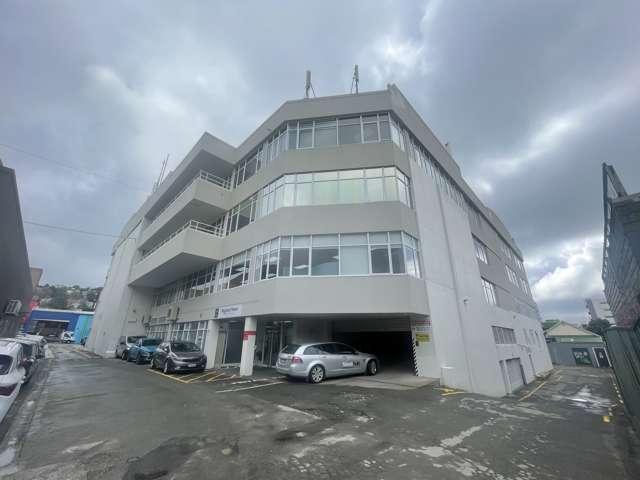 15 Walter Street Te Aro_1