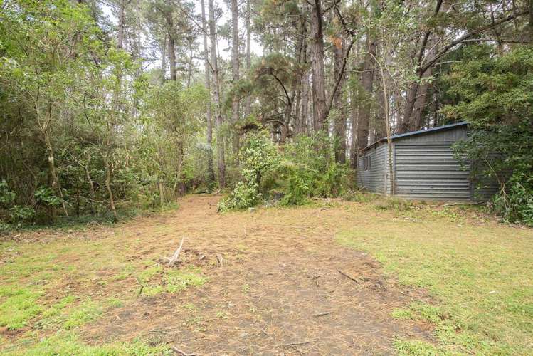 63-69 Leinster Avenue Raumati South_10