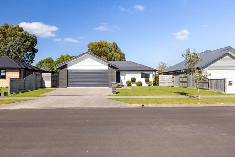 29 Monarch Drive Ashhurst_8
