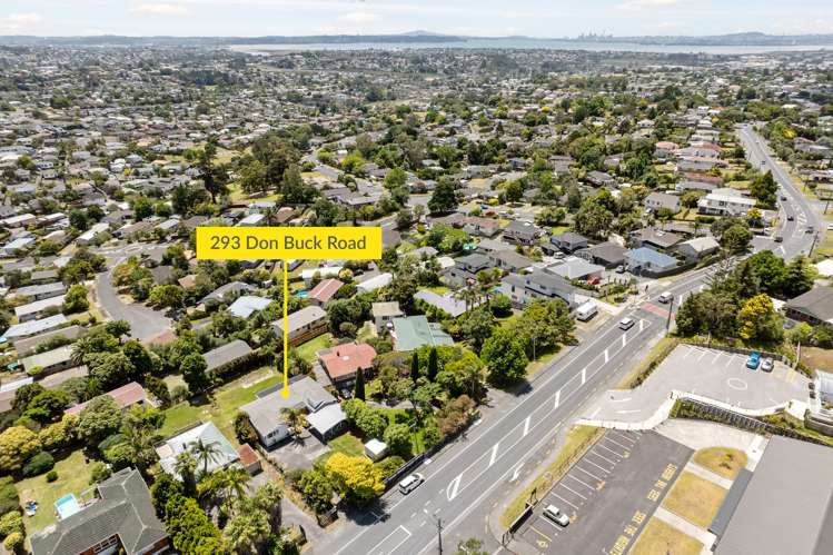 293 Don Buck Road Massey_26