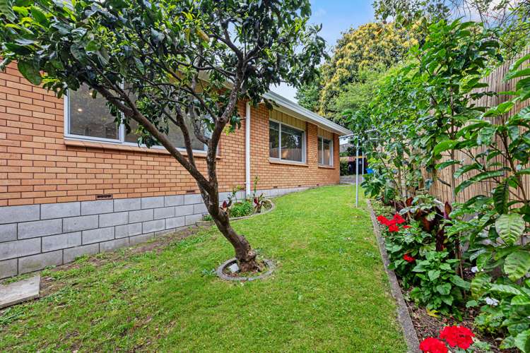 7a Cambridge Road Judea_15