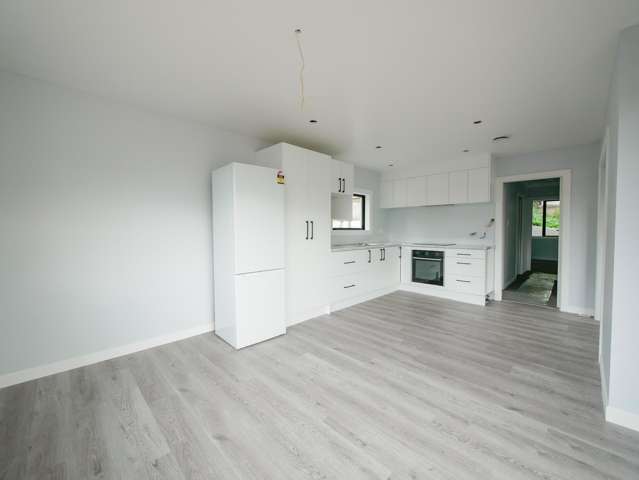 184 Main South Road Green Island_4