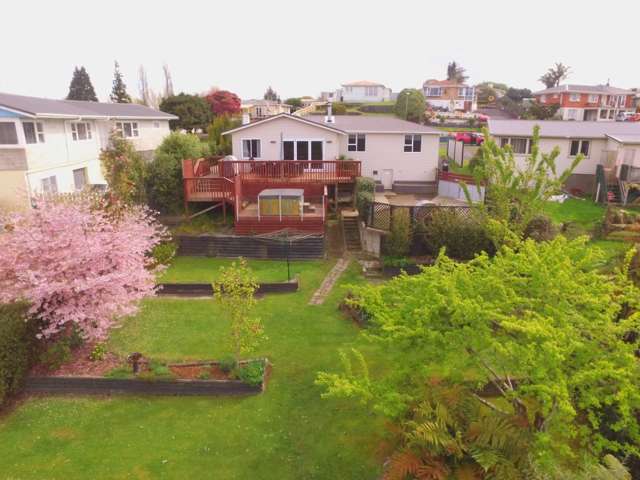 24 Bledisloe Avenue Putaruru_1