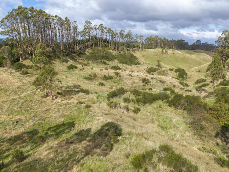 379 Otake Road Marotiri_12