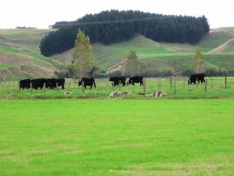 7 Whangaehu Hotel Road Whangaehu_14