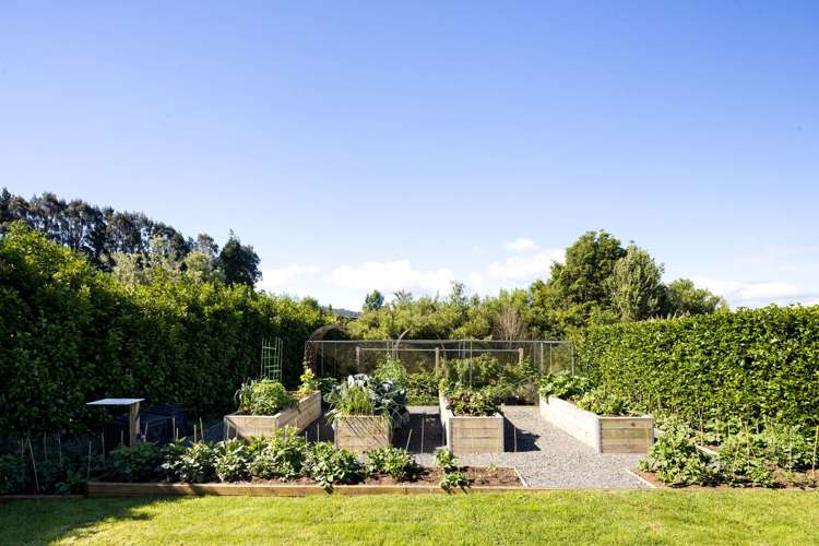 8 Tiwarawara Lane Puketotara_38