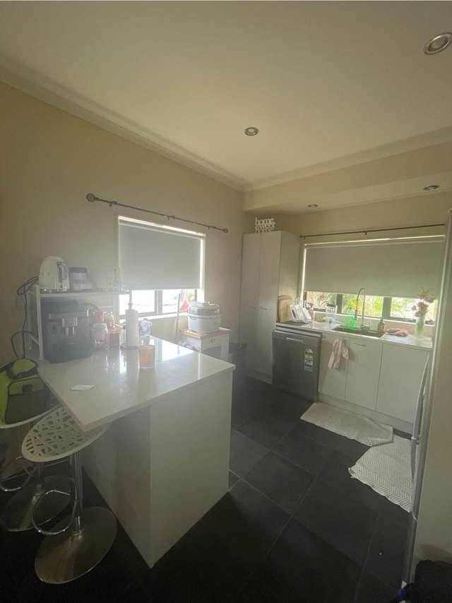 7 Derg Place East Tamaki_3