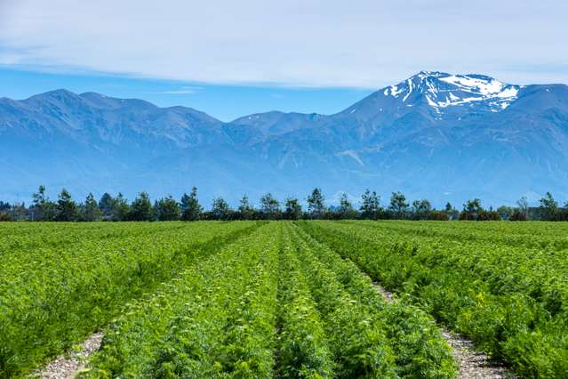 337 Reynolds Road Methven_4