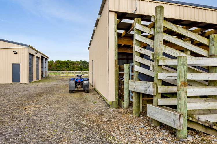 112b Princess Street Waitara_33