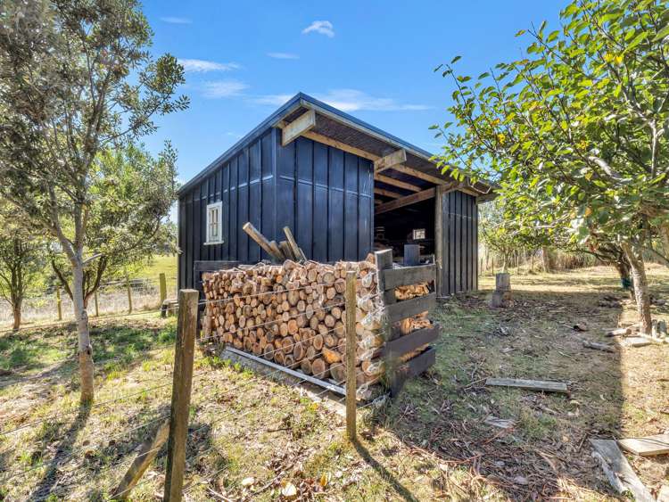 371 Tutaki Road Bunnythorpe_29