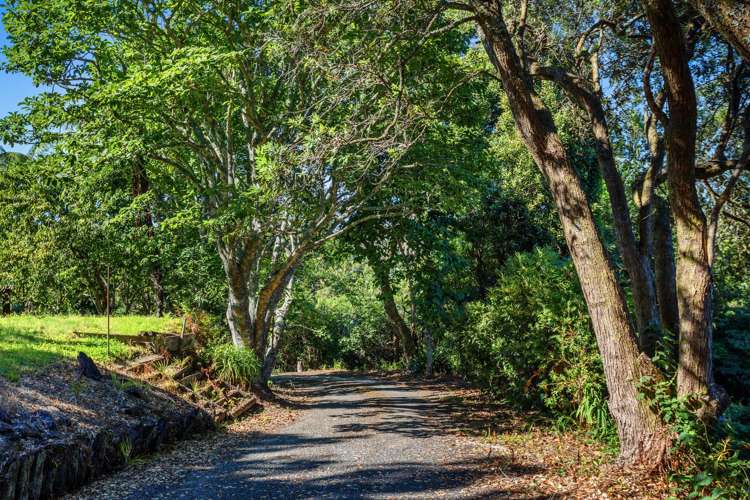 5 Bridger Glade Whakatane_31