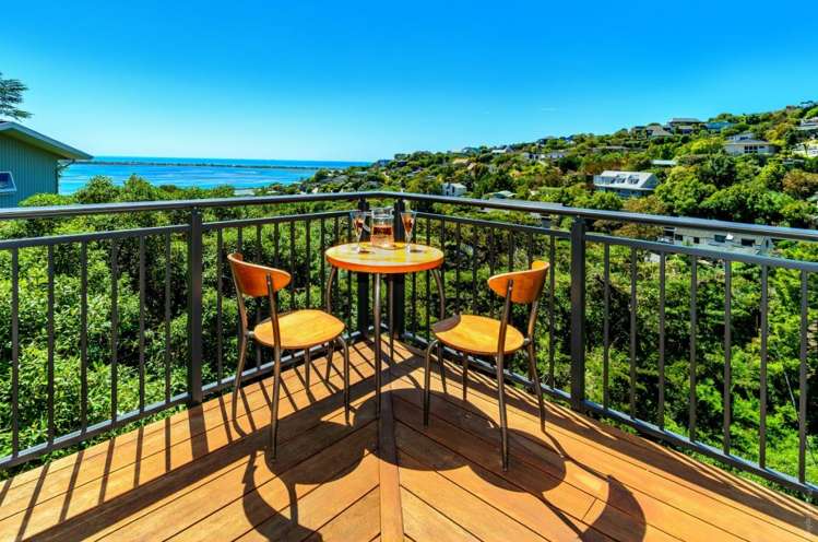 107 Mt Pleasant Road Mount Pleasant_15