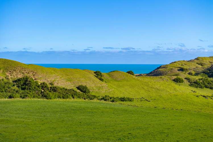 Lot 6 Mahuta Road Dargaville_8