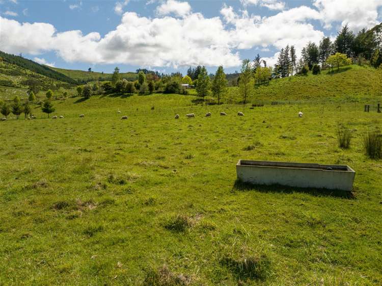 237 Win Valley Road Dovedale_31