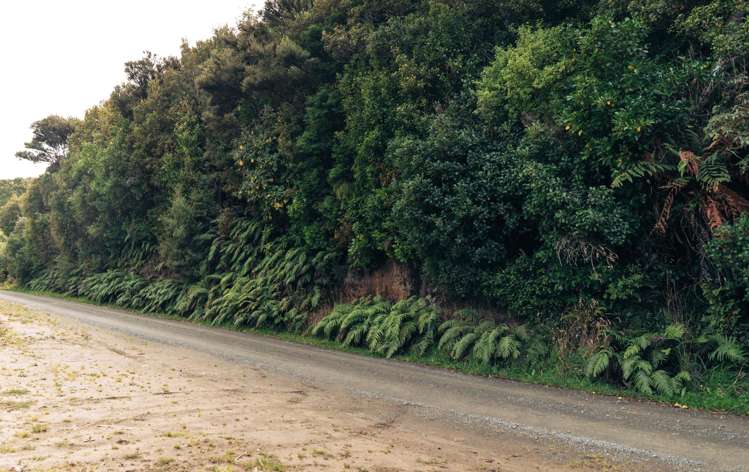 9 Rata Street Halfmoon Bay_6