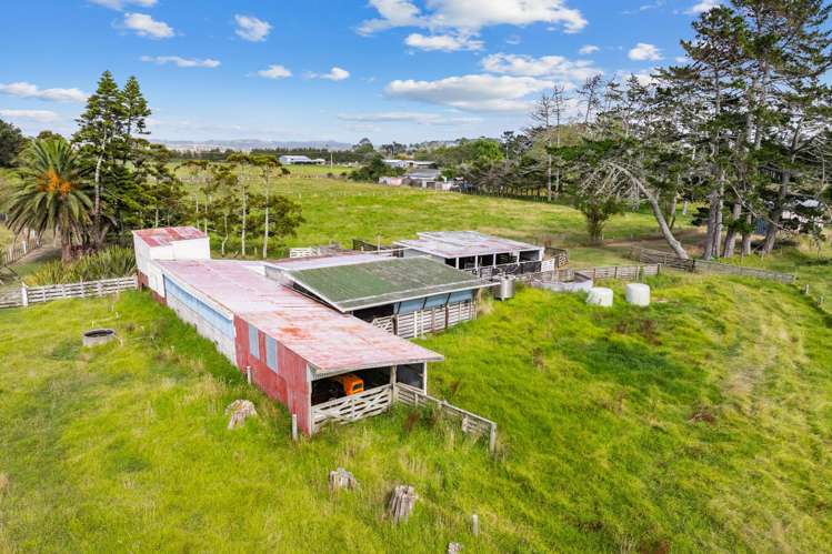 1091 Pouto Road Dargaville_19