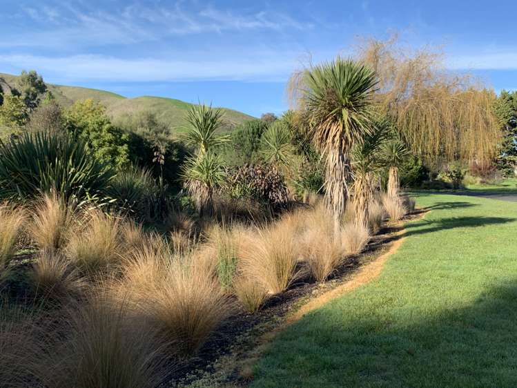 672d Te Whiti Road Te Whiti_16