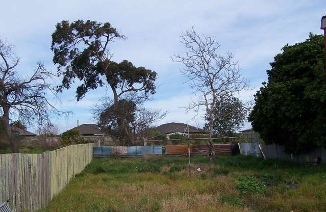 53 Smithfield Road Tawhero_1