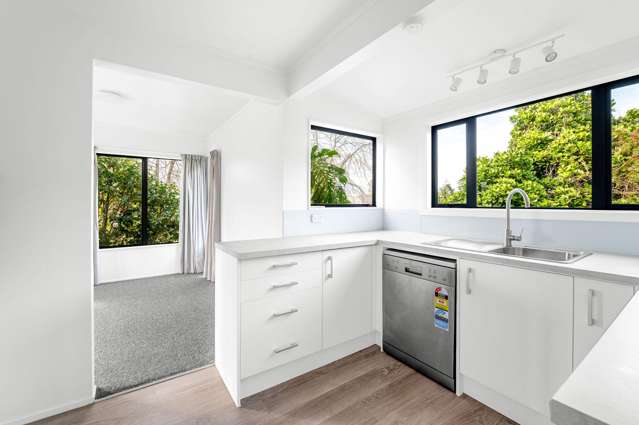 73A Pembroke Street Hamilton Lake_3