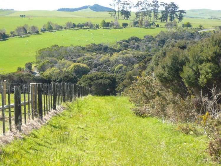 114 Mckenzie Road Kerikeri Surrounds_16