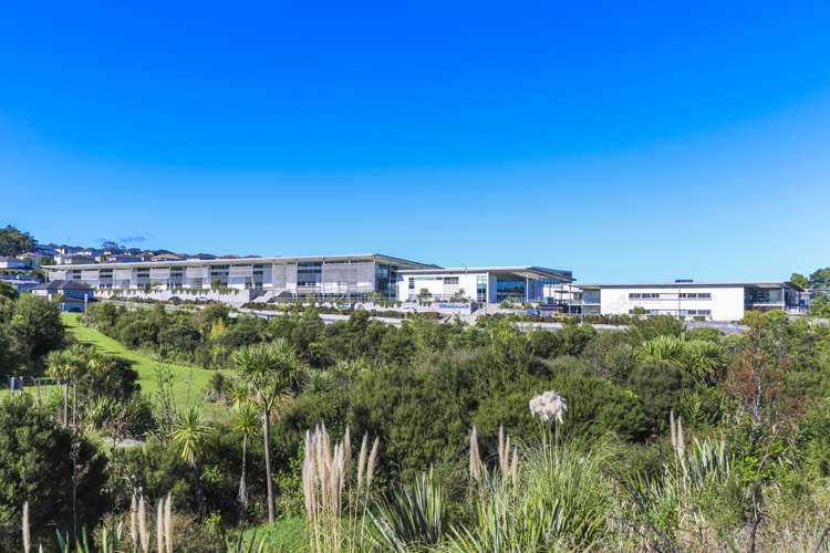 3 Gibbston Crescent Flat Bush_1