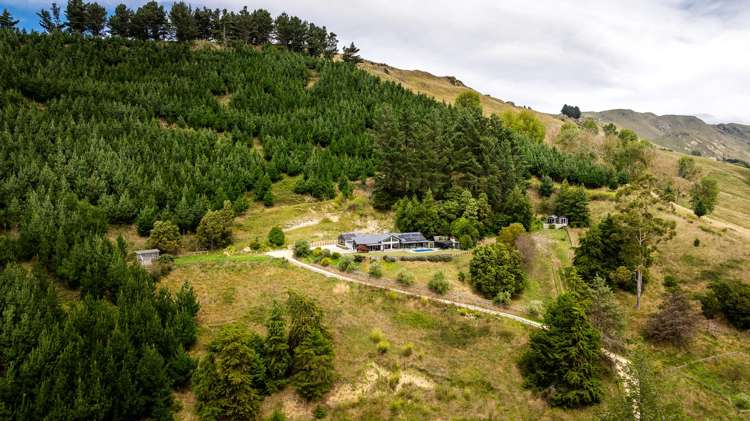 41 Raratu Road Kahuranaki_31