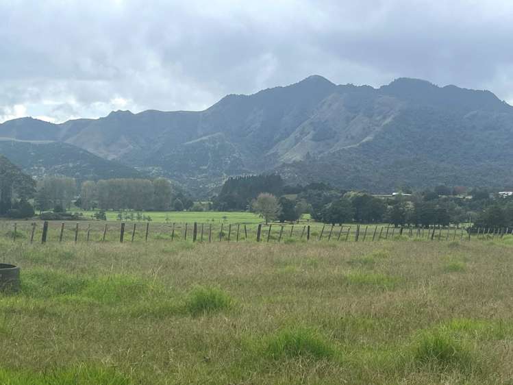 3567 Mangakahia Road Poroti_0